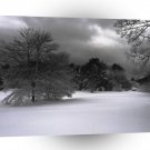 Winter Scene Land Of Gray A1 XLarge Canvas
