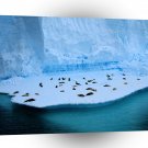 Winter Scene Living On Ice A1 XLarge Canvas