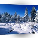 Winter Scene Natural Blanket A1 XLarge Canvas