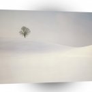 Winter Scene Peaceful Season Switzerland A1 XLarge Canvas