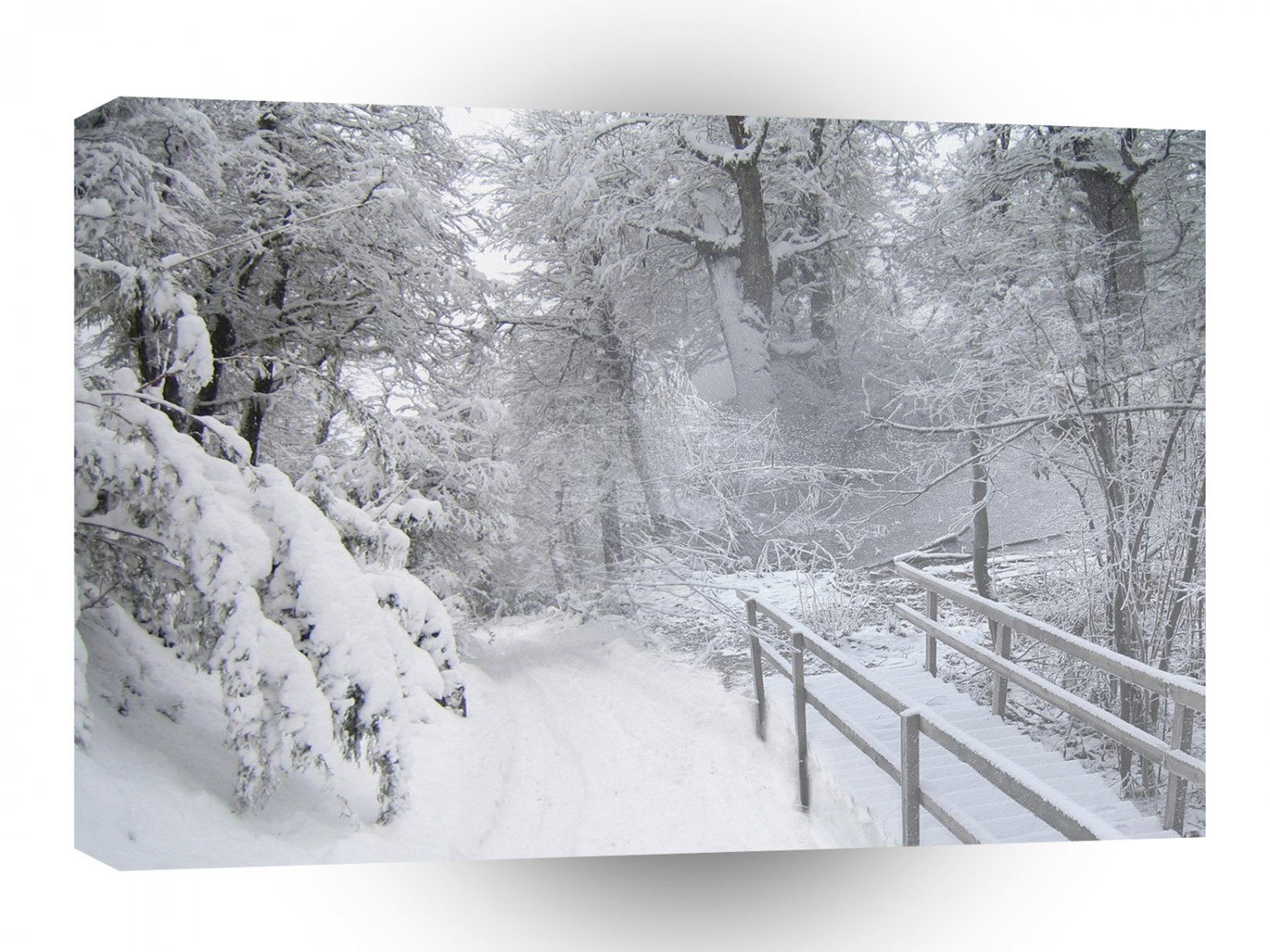 Winter Scene Snow Covered Woods A1 XLarge Canvas