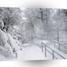 Winter Scene Snow Covered Woods A1 XLarge Canvas