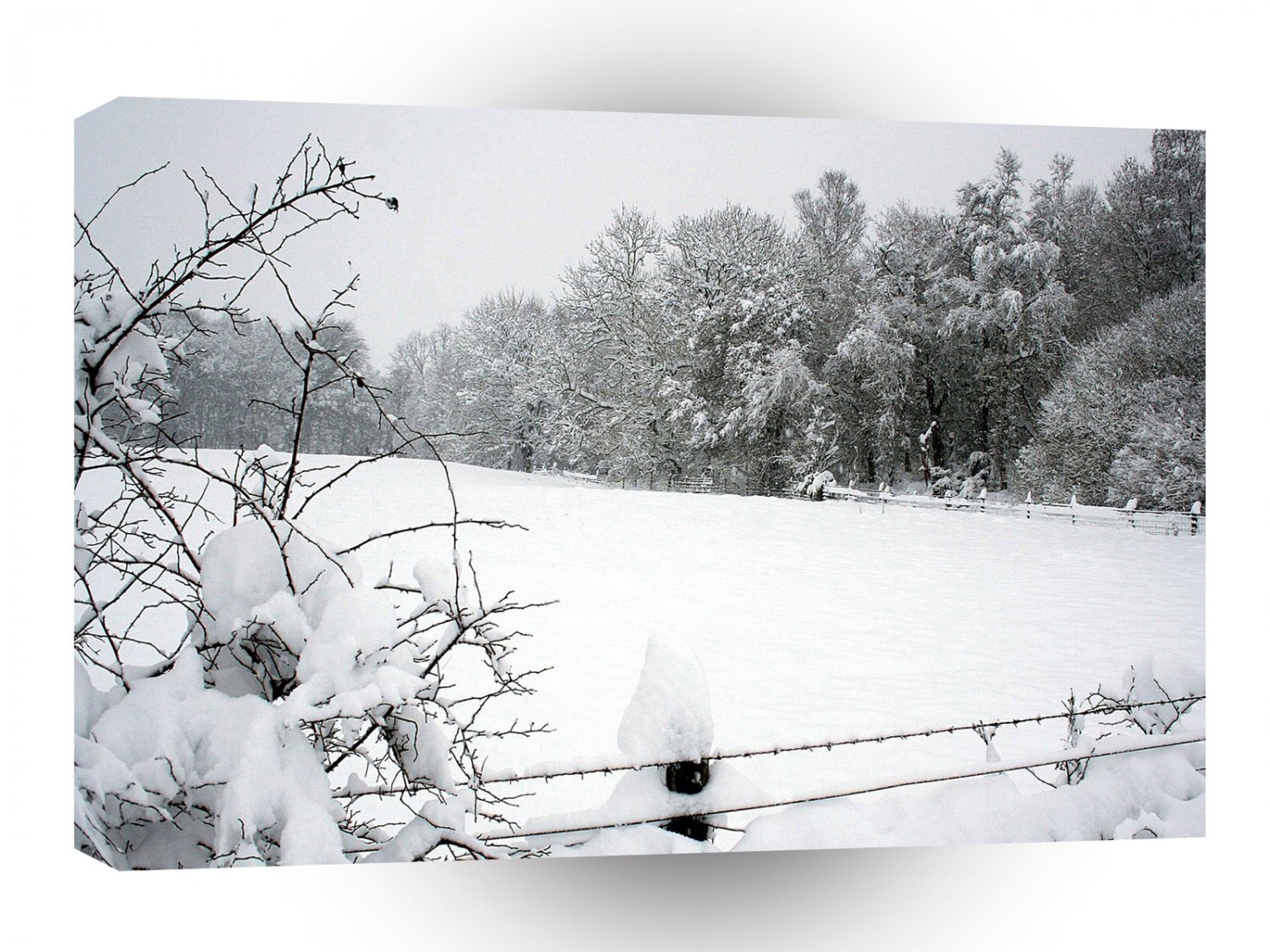Winter Scene Snow Flurry A1 XLarge Canvas