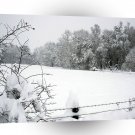 Winter Scene Snow Flurry A1 XLarge Canvas