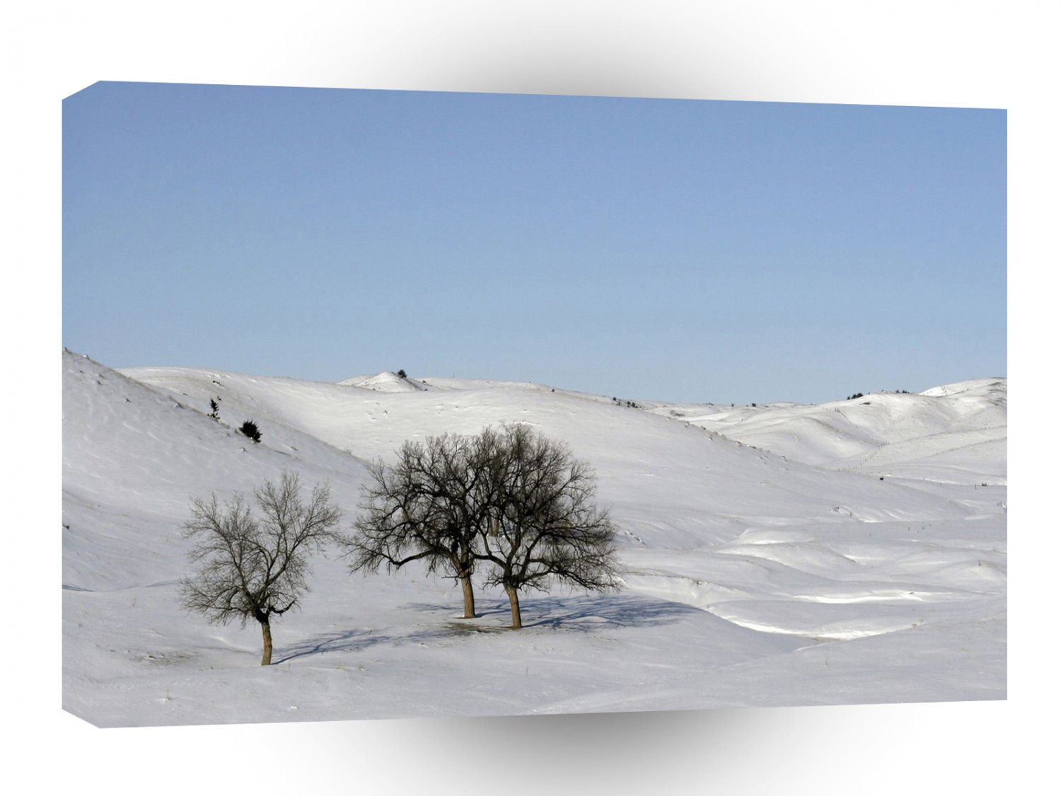 Winter Scene Snow Scape A1 XLarge Canvas