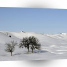 Winter Scene Snow Scape A1 XLarge Canvas