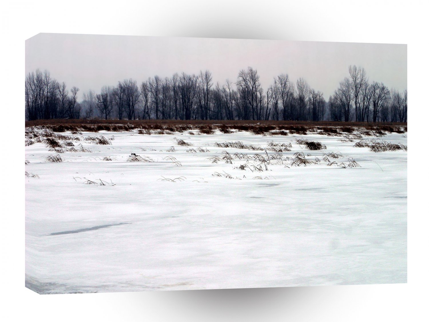 Winter Scene Snowy Marsh A1 XLarge Canvas