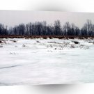 Winter Scene Snowy Marsh A1 XLarge Canvas