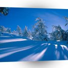 Winter Scene Snowy Shadows A1 XLarge Canvas