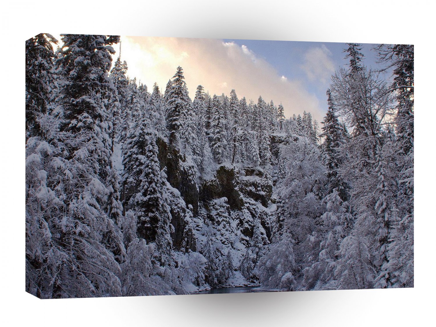 Winter Scene Total Whiteout A1 XLarge Canvas