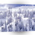 Winter Scene White Comfort Mountain A1 XLarge Canvas