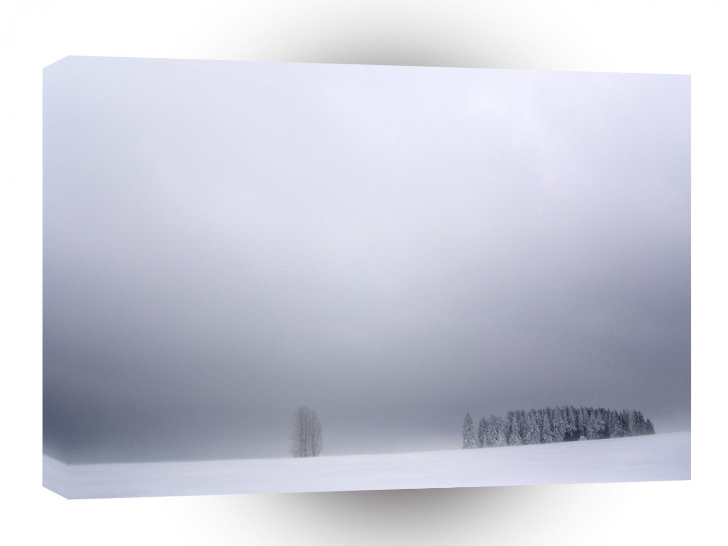 Winter Scene White Trees A1 XLarge Canvas