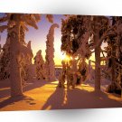 Winter Snow Covered Finland A1 XLarge Canvas