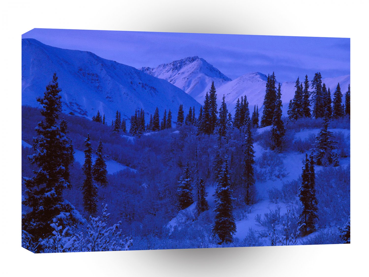 Winter Snow Covered N Range A1 XLarge Canvas