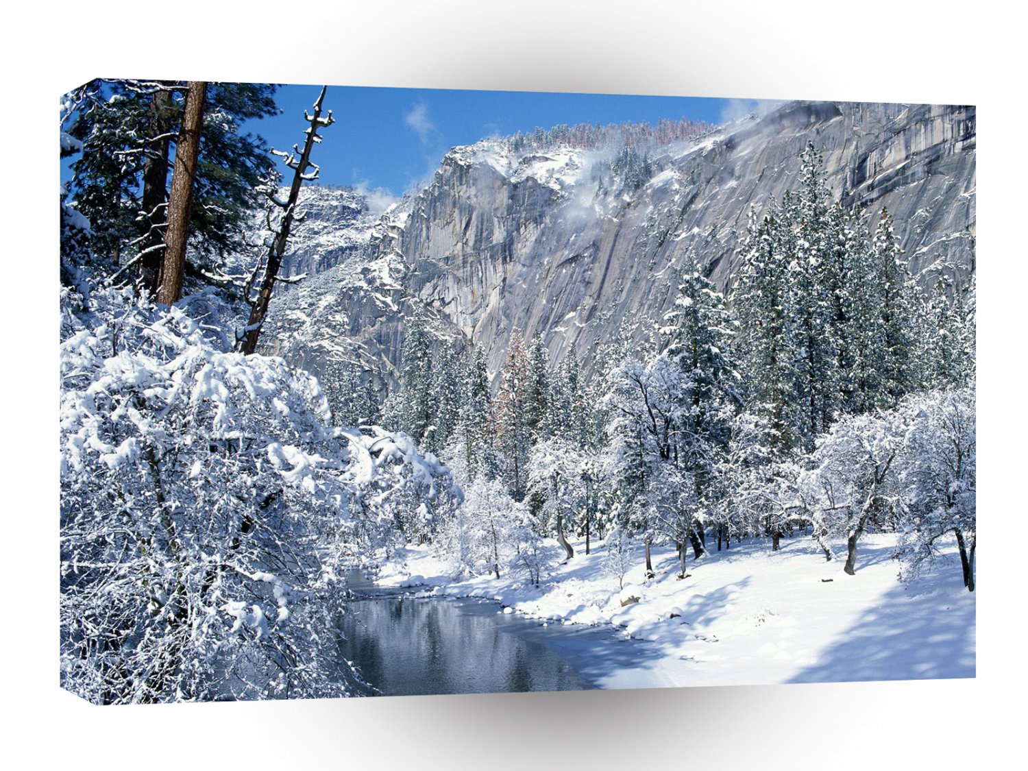 Winter Snow Flocks Yosemite A1 XLarge Canvas