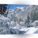 Winter Snow Flocks Yosemite A1 XLarge Canvas
