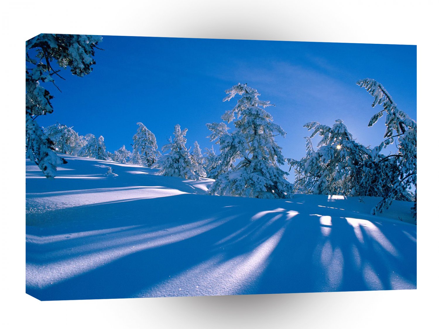 Winter Snowy Shadows A1 XLarge Canvas