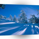 Winter Snowy Shadows A1 XLarge Canvas