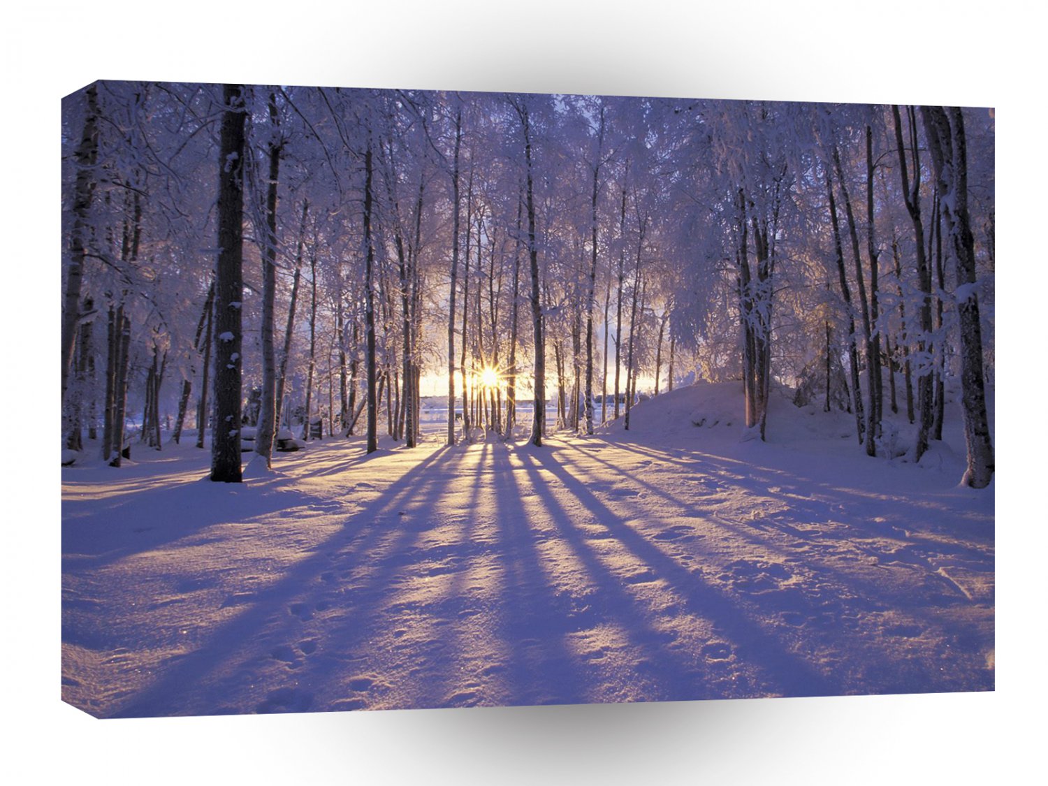 Winter Sunset A1 XLarge Canvas