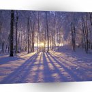 Winter Sunset A1 XLarge Canvas
