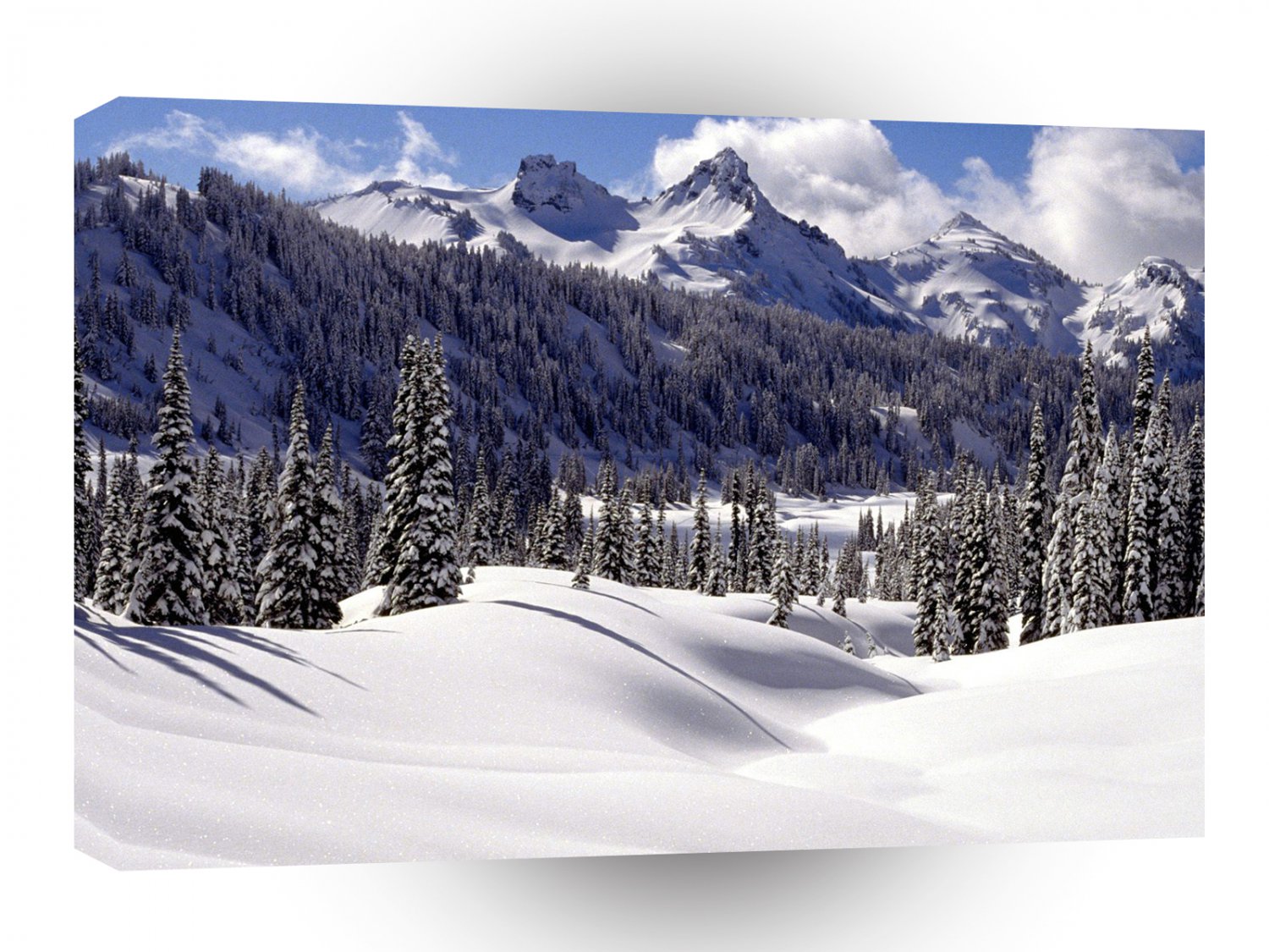 Winter Tatoosh Range Mount Rainier A1 XLarge Canvas