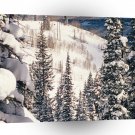 Winter The Calm Before The Storm Brighton Utah A1 XLarge Canvas