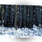Winter White Pine Trees Pocono Mountains A1 XLarge Canvas