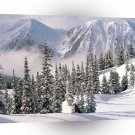 Winter Wonderland Canada A1 XLarge Canvas