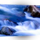 Yosemite Cool Runnings Park A1 XLarge Canvas