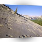 Yosemite Glaciated A1 XLarge Canvas