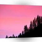 Yosemite Hillside Pines Park A1 XLarge Canvas