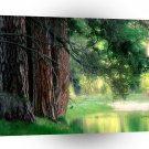 Yosemite Misty Reflections Park A1 XLarge Canvas