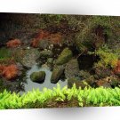 Yosemite Mossy Rocks Park A1 XLarge Canvas