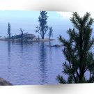 3d Art Pinetop A1 Xlarge Canvas