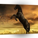 Abstract Animal Black Horse A1 Xlarge Canvas