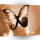 Abstract Animal Butterfly Brown A1 Xlarge Canvas
