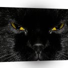 Abstract Animal Cats Eye Yellow A1 Xlarge Canvas