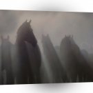 Abstract Animal Ghost Horses A1 Xlarge Canvas