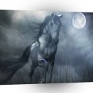 Abstract Animal Moonlight Horse A1 Xlarge Canvas