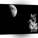 Abstract Animal Night Tiger A1 Xlarge Canvas
