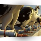 Abstract Animal Pigeon Message A1 Xlarge Canvas
