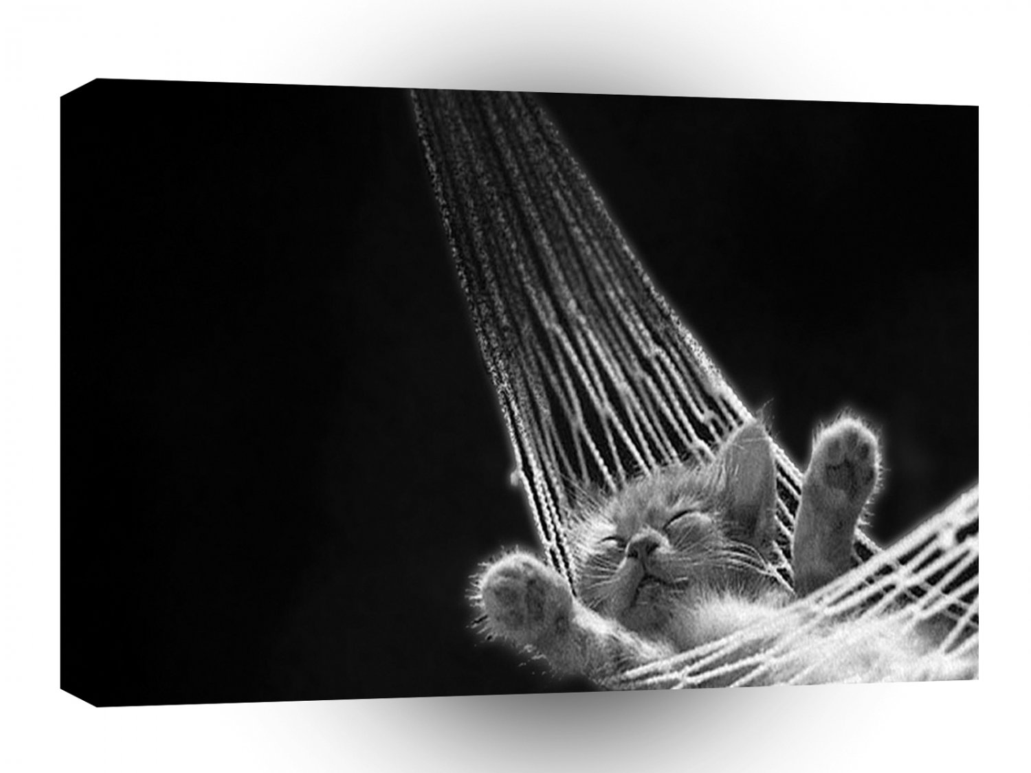 Abstract Animal Sleeping Kitty A1 Xlarge Canvas