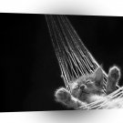 Abstract Animal Sleeping Kitty A1 Xlarge Canvas