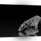 Abstract Animal Stripped Tiger A1 Xlarge Canvas