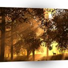 Abstract Animal Sun Wood A1 Xlarge Canvas