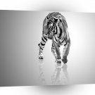 Abstract Animal Tiger Mirror A1 Xlarge Canvas