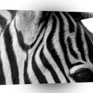 Abstract Animal Zebra Eye A1 Xlarge Canvas