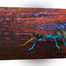 Abstract Animals Alien Psychedelic Ant A1 Xlarge Canvas