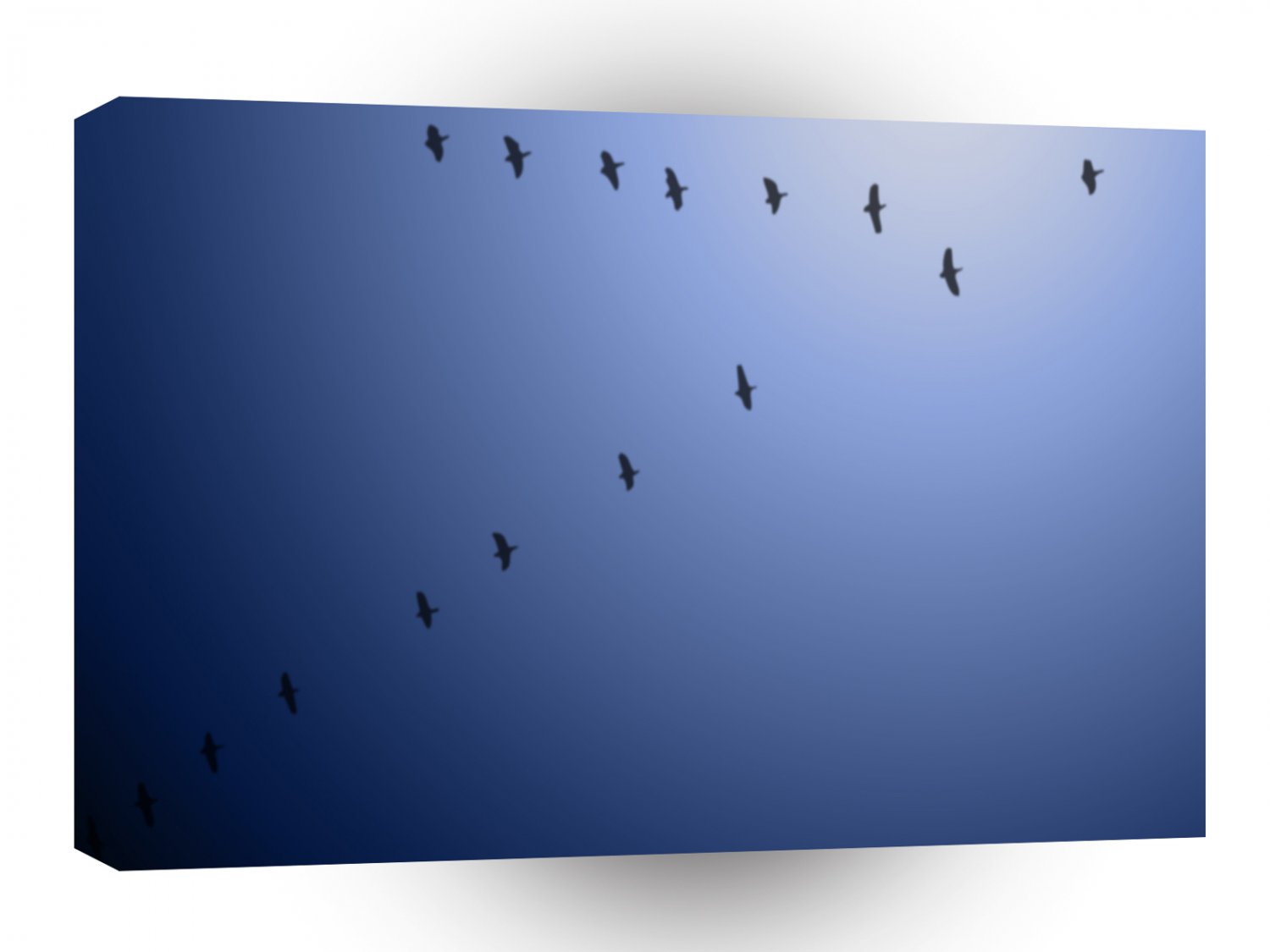 Abstract Animals Bird Formation For Flight A1 Xlarge Canvas