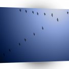 Abstract Animals Bird Formation For Flight A1 Xlarge Canvas
